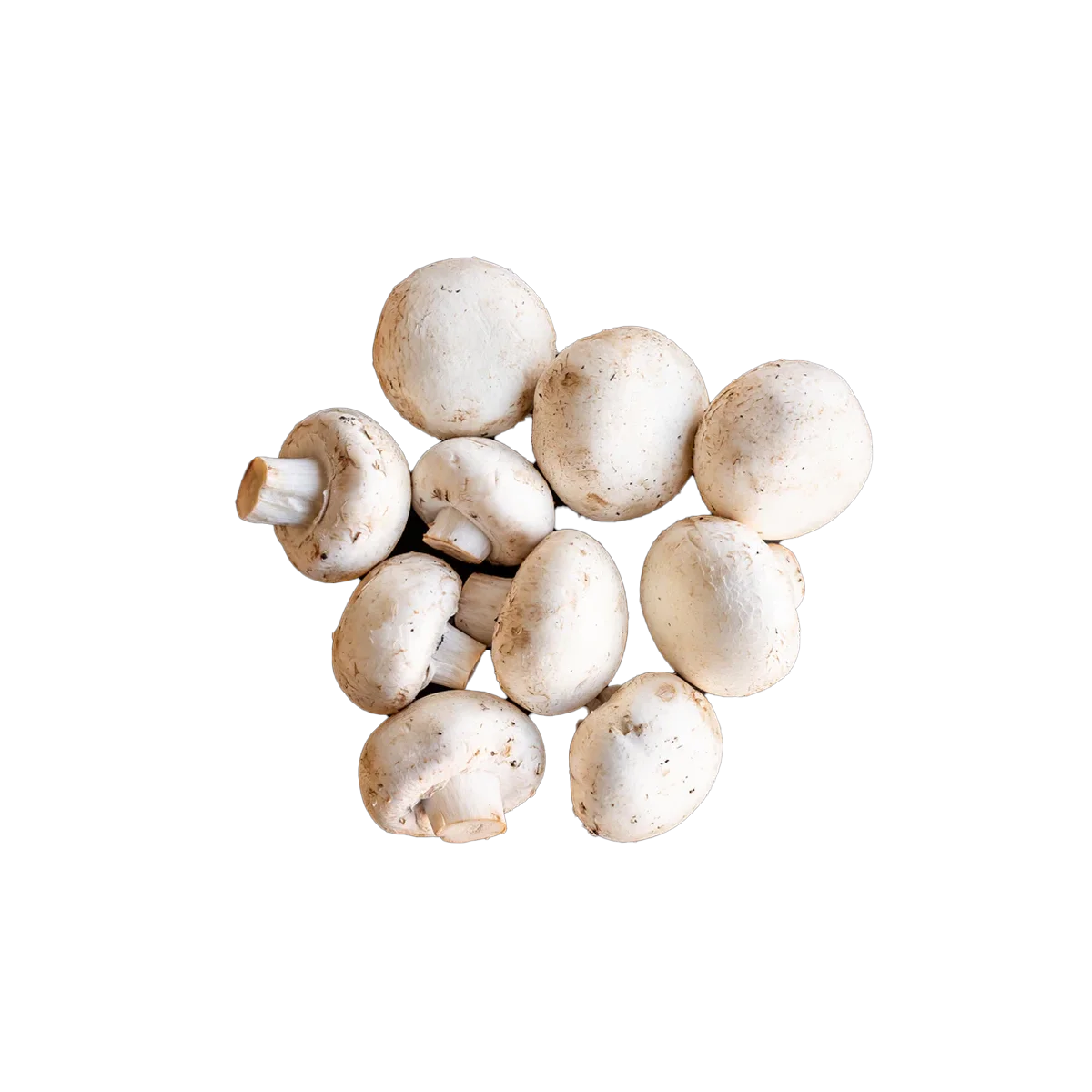 Grocerz - Mushrooms Cup (200-250g) | 1 Each