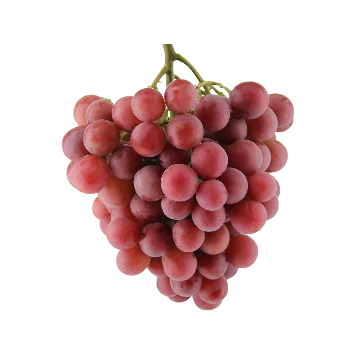 Grocerz - Grapes Red 1kg | 1 Pack