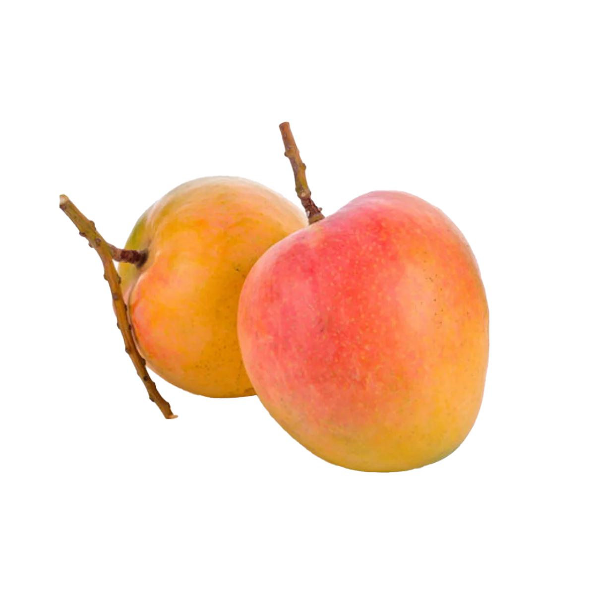 Grocerz - Mango R2E2 (approx weight) | 1kg