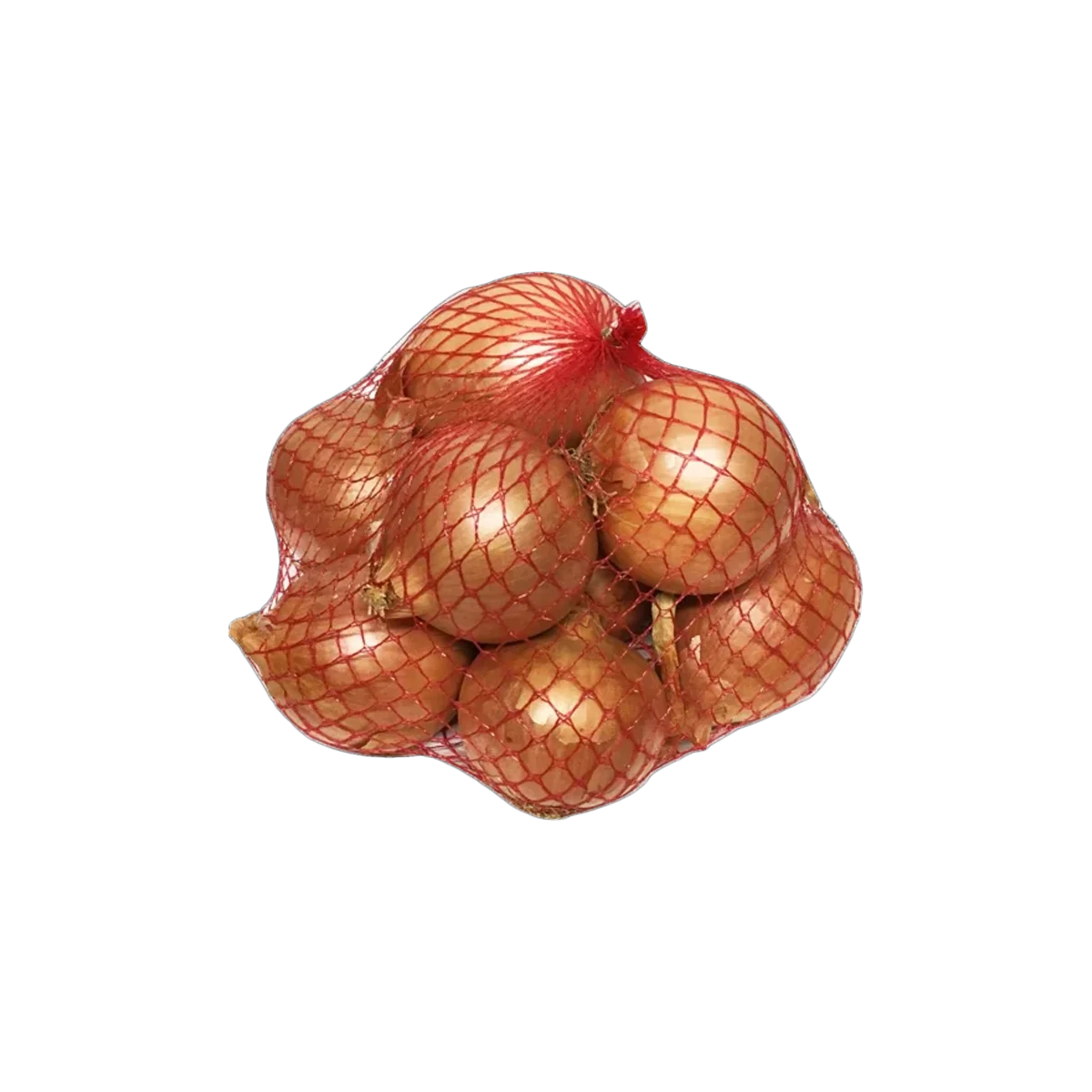 Grocerz - Brown Onion (450-550g) | 1 Pack 