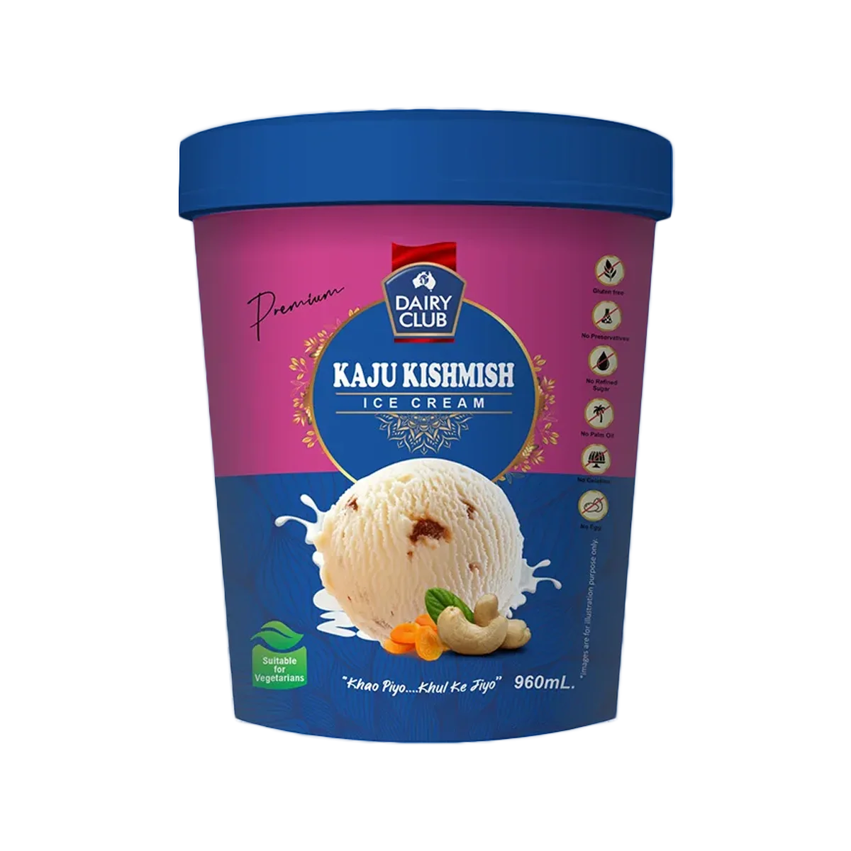 Dairy Club - Kaju Kishmish Ice Cream Tub | 960ml